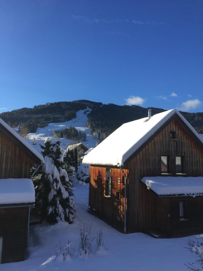 Alpenferienhaus Kreischberg Sankt Lorenzen ob Murau Eksteriør bilde