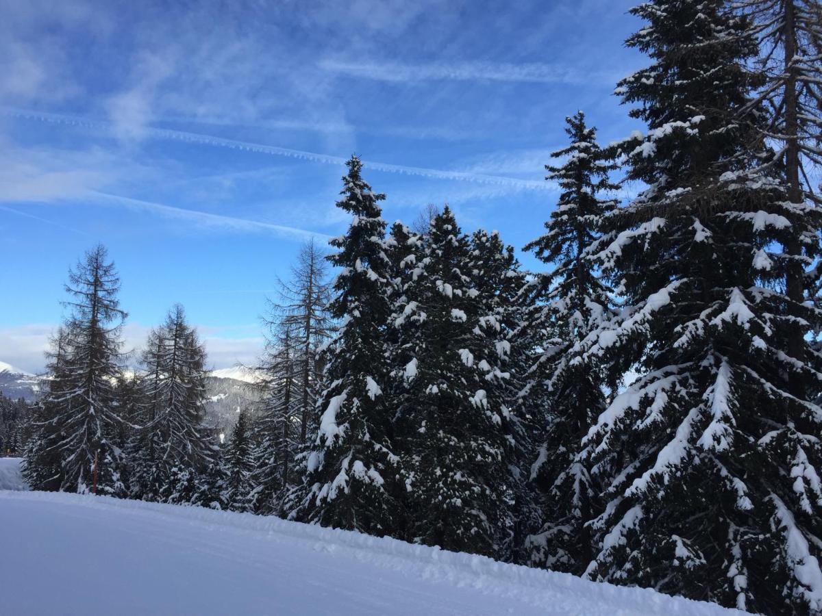 Alpenferienhaus Kreischberg Sankt Lorenzen ob Murau Eksteriør bilde