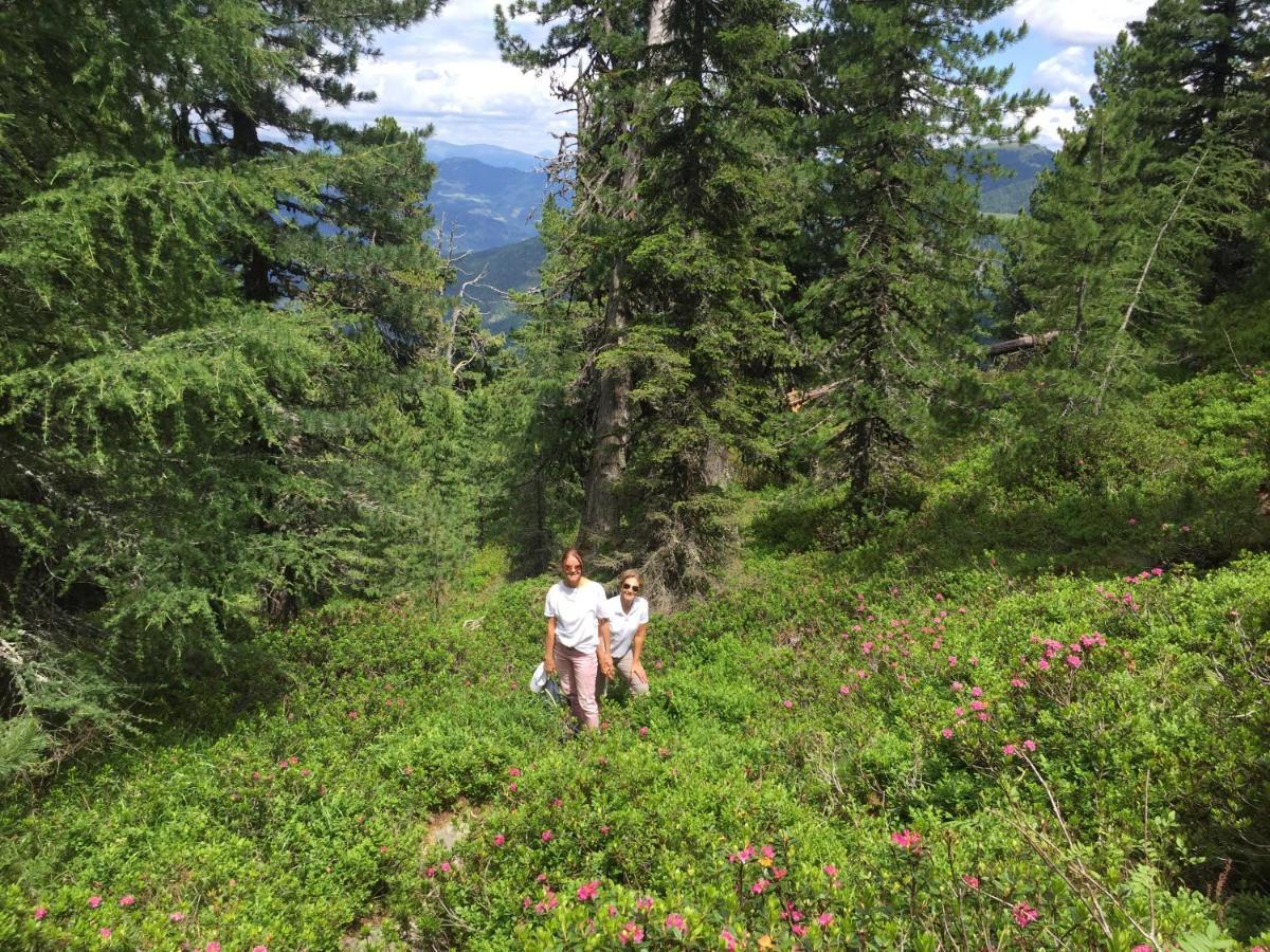 Alpenferienhaus Kreischberg Sankt Lorenzen ob Murau Eksteriør bilde